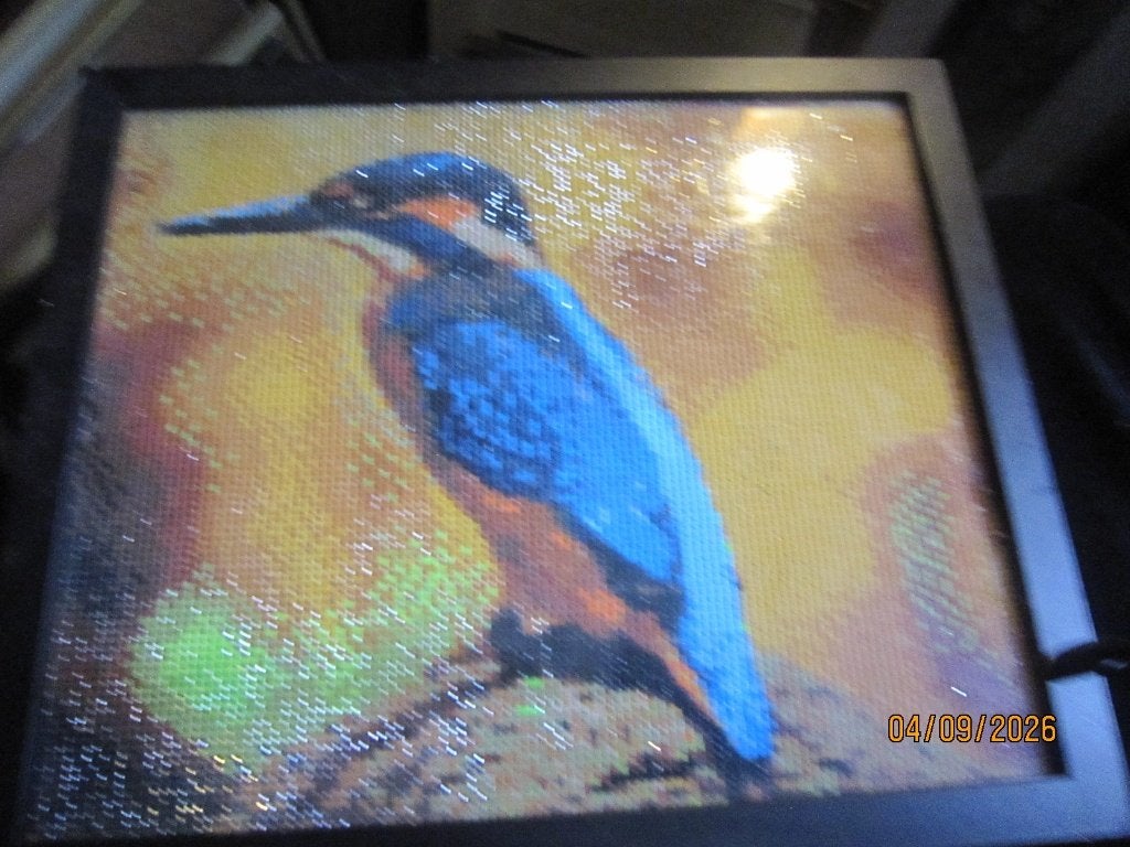 Diamand Painting Leuke afbeelding v/e IJSVOGEL, Antiek en Kunst, Kunst | Schilderijen | Klassiek, Ophalen, Overige technieken