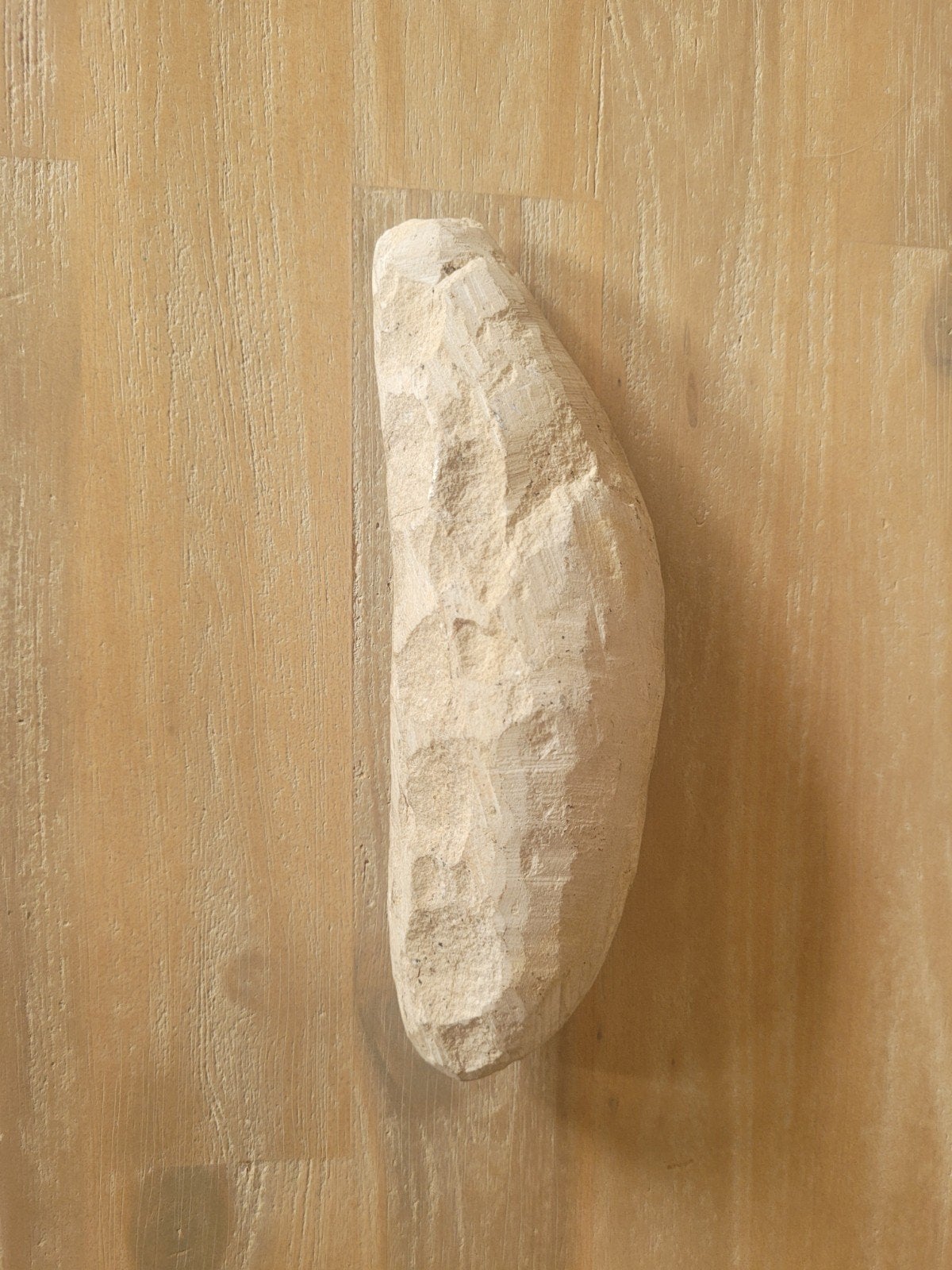 Vis fossiel, Ophalen of Verzenden, Fossiel
