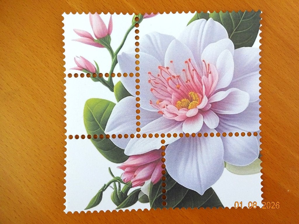 Oplegkaarten met postzegelrandjes. bloemen vlinders Snijmal, Ophalen of Verzenden, Nieuw, Overige thema's, Pons of Mal