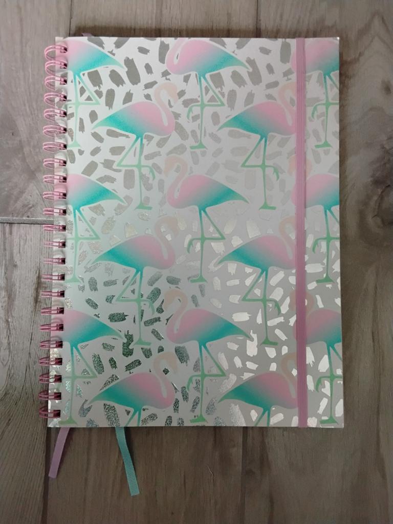 Notieboek / collegeblok nieuw, Ophalen of Verzenden, Nieuw