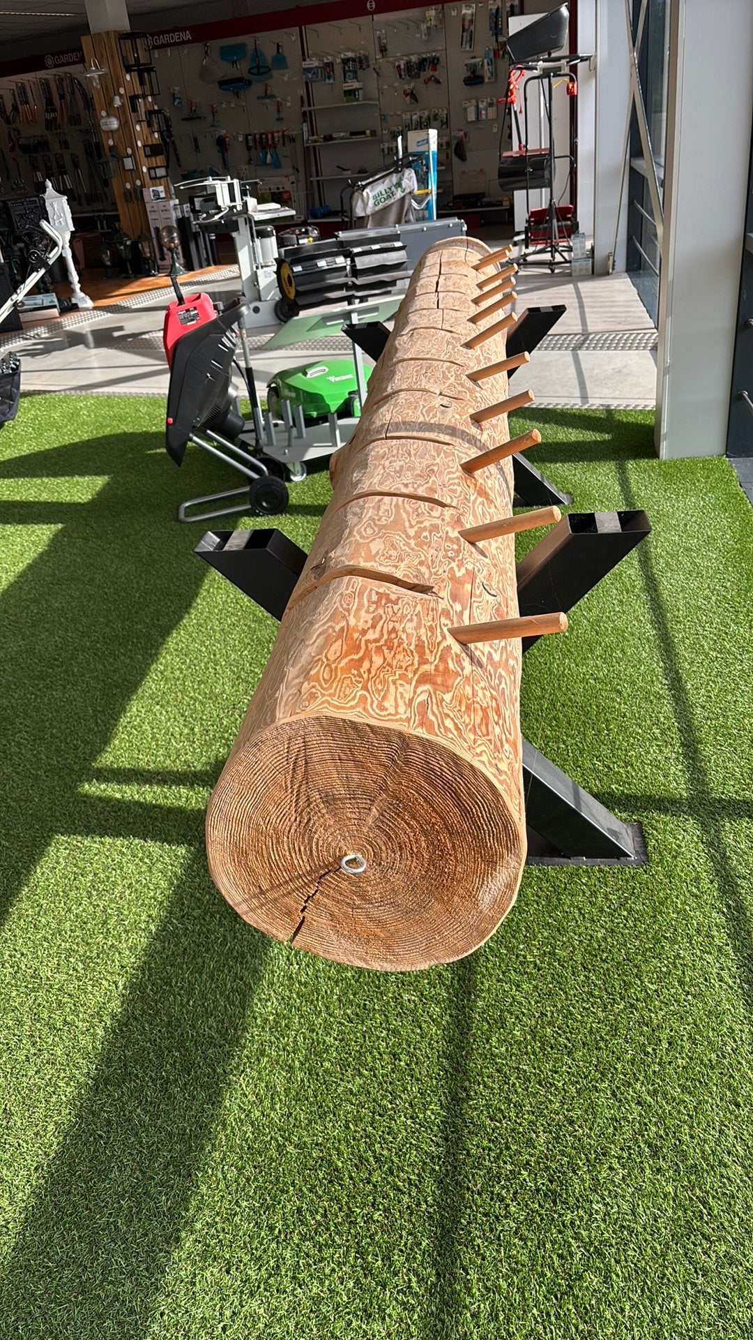 eikenhout boomstam incl. zware zwarte steunen, Tuin en Terras, Ophalen, Zo goed als nieuw, 250 cm of meer, Palen