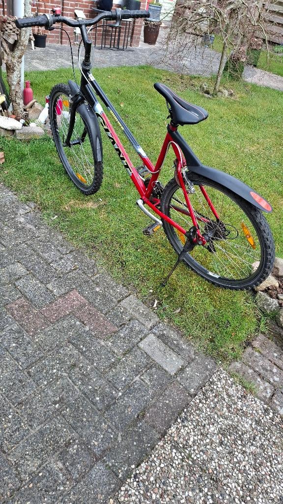 Fiets, Ophalen, Gebruikt, Giant, Dames