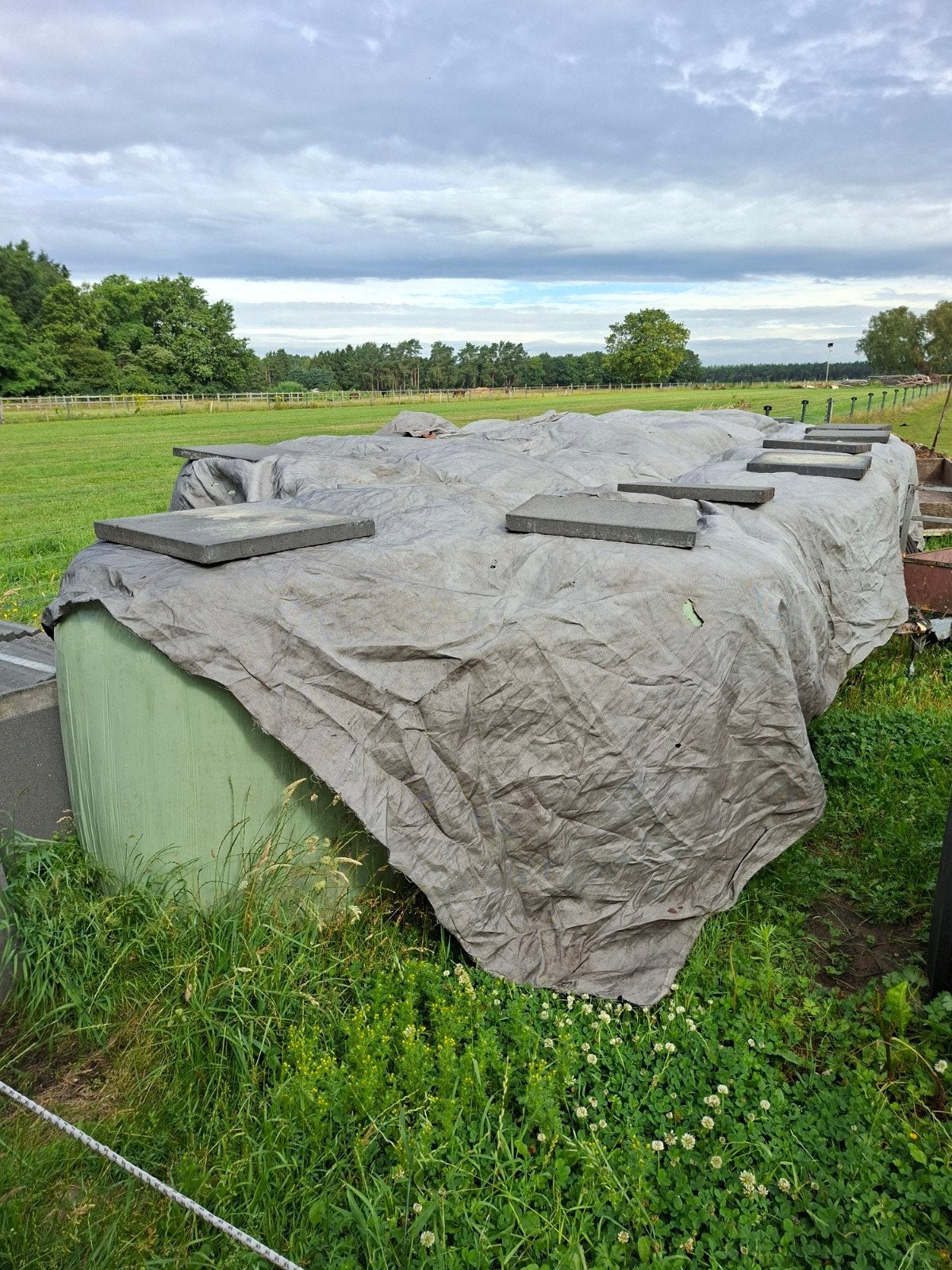 Ronde hooibalen doorsnede 110 cm, Dieren en Toebehoren, Ophalen, Vee
