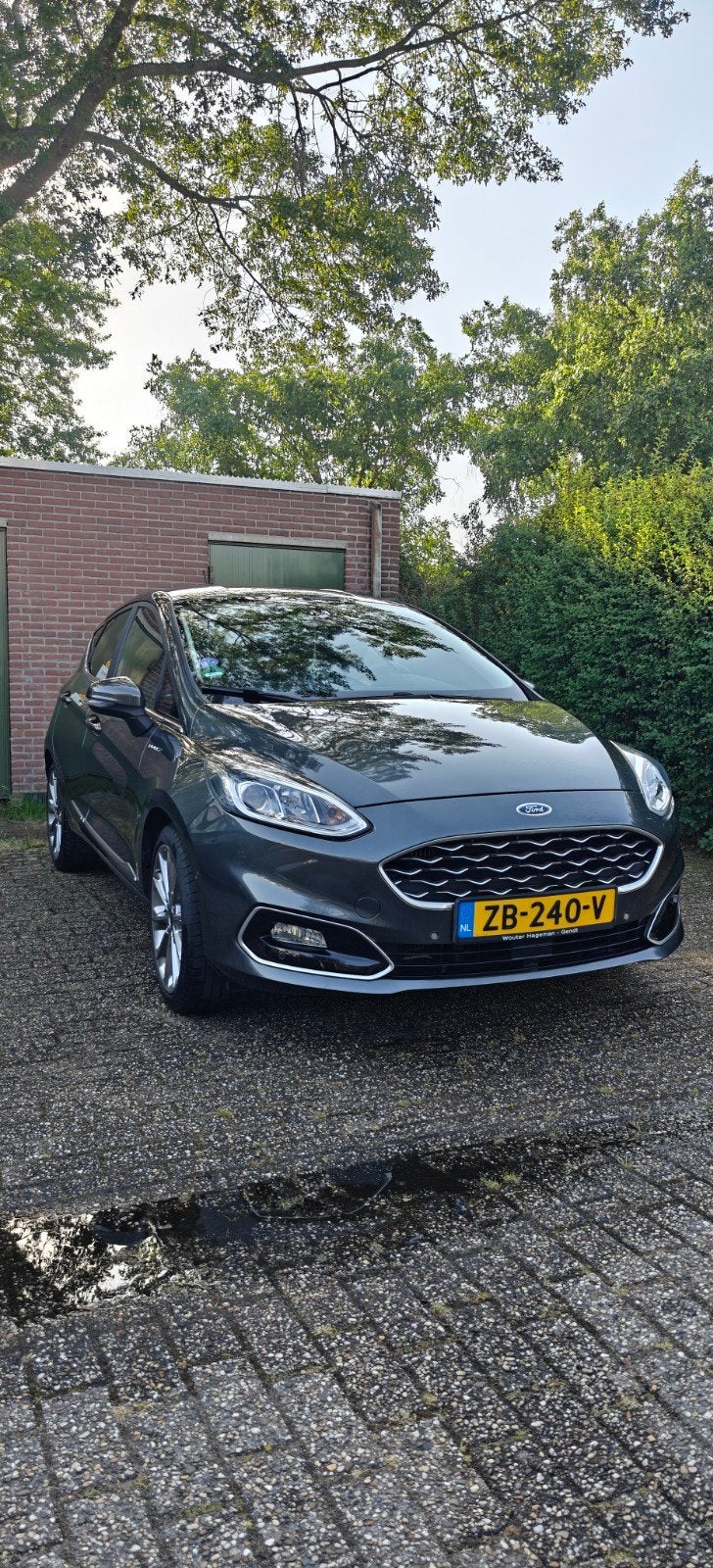 Ford Fiësta 1.0 Ecoboost 125PK 5D S/S 2018 Grijs, Voorwielaandrijving, 125 pk, Zwart, 580 kg