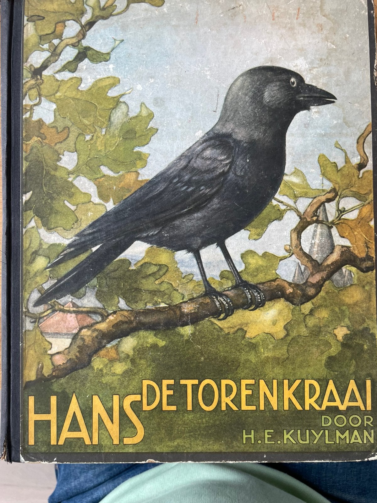 Verkade-album Hans de torenkraai - HE Kuylman, Ophalen of Verzenden, Gelezen, Plaatjesalbum
