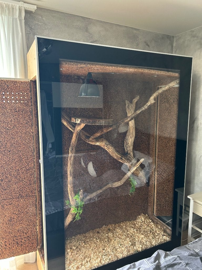 Terrarium, Dieren en Toebehoren, Reptielen en Amfibieën, 0 tot 2 jaar