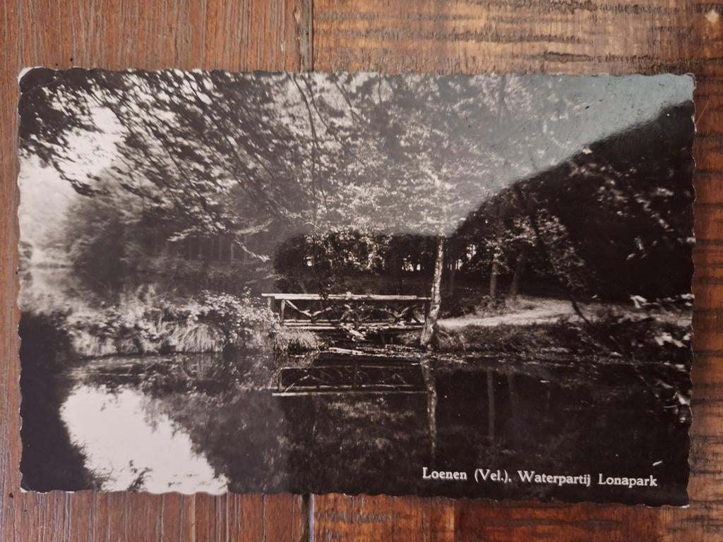 Fotokaart Loenen - Waterpartij Lonapark, Ophalen of Verzenden, Gelopen, Gelderland