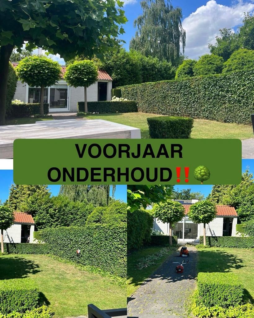 Tuinman gezocht ?, Tuinonderhoud of Snoeiwerk