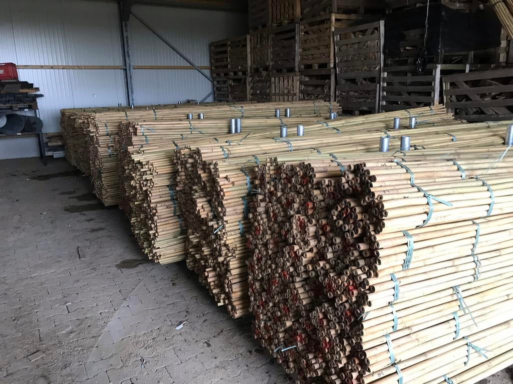 Nieuwe bamboestokken,bonenstaken. Goede kwaliteit! Nieuw!, Tuin en Terras, Ophalen of Verzenden, Nieuw, Klimaatbeheersing