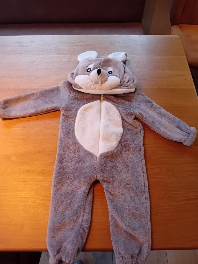 Verkleedkleding muizenpak maat 80, Ophalen of Verzenden, Zo goed als nieuw, 104 of kleiner, Jongen of Meisje