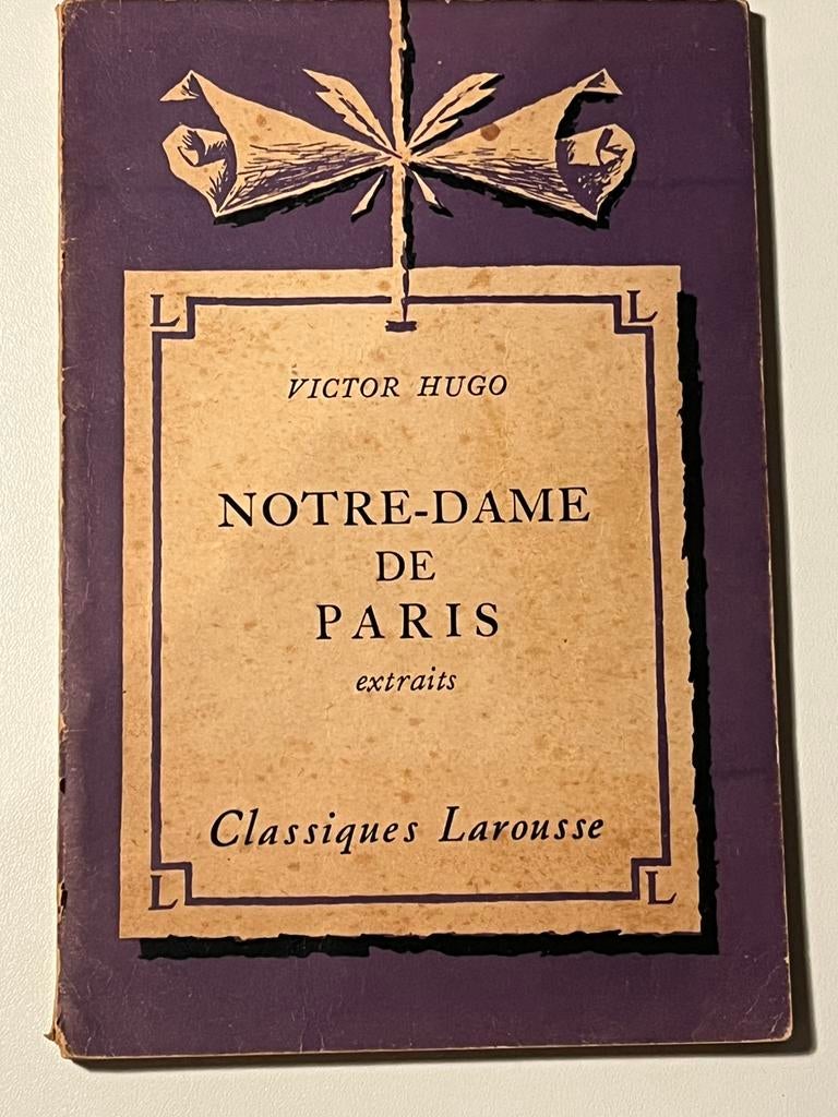Victor Hugo notre-dame de paris, Antiek en Kunst, Ophalen of Verzenden