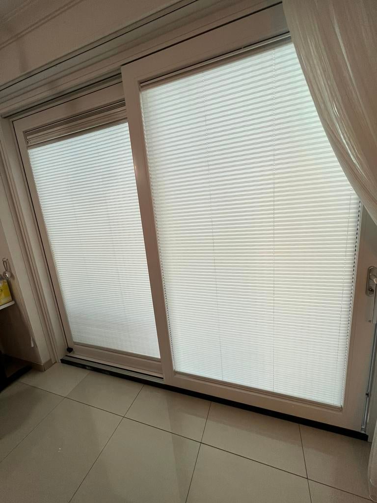 PLİSSE HORDEUR EN RAAMHOR , plisse gordijnen VANAF 70 Euro, Ophalen of Verzenden, Nieuw, Hordeur