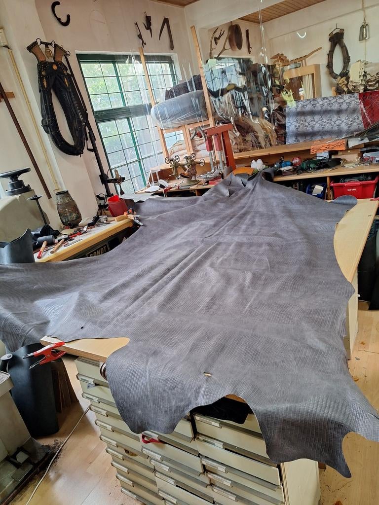 Zeer grootte Reptiel huid, Leguaan, natuurlijke kleur, Overige kleuren, 120 cm of meer, Leer of Kunstleer, Ophalen of Verzenden