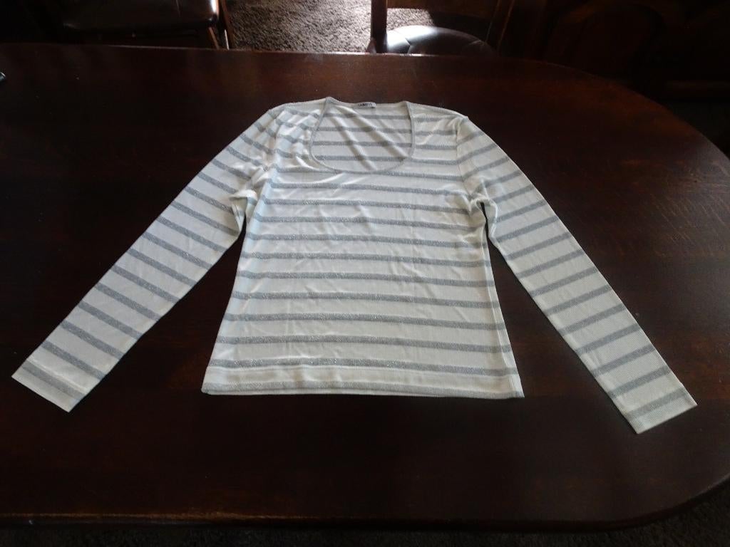 AMBIENTE gestreepte top met zilver en wit, Kleding | Dames, Tops, Nieuw, Maat 42/44 (L), Wit, Lange mouw, Ophalen of Verzenden