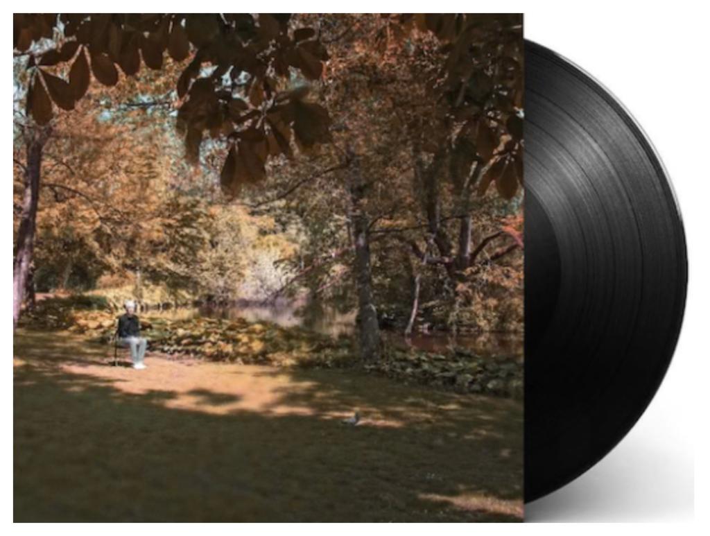 Vinyl LP Spinvis 7.6.9.6. NIEUW, Cd's en Dvd's, Ophalen of Verzenden, Nieuw in verpakking, 12 inch, Pop