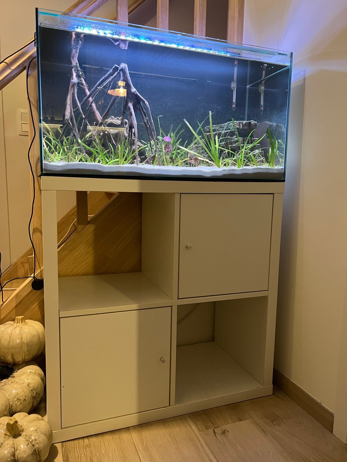 Op maat gemaakt aquarium 120l + kast, Dieren en Toebehoren, Ophalen, Inclusief deksel, Gebruikt, Gevuld zoetwateraquarium