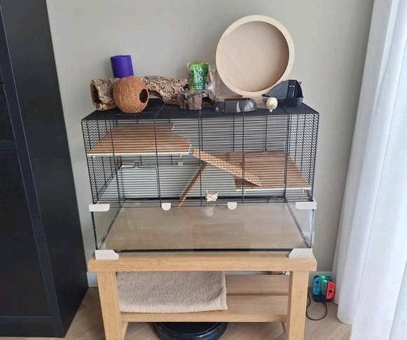 Accessoires voor een hamster. De kooi is verkocht., Ophalen, Kooi, Gebruikt, 60 tot 90 cm