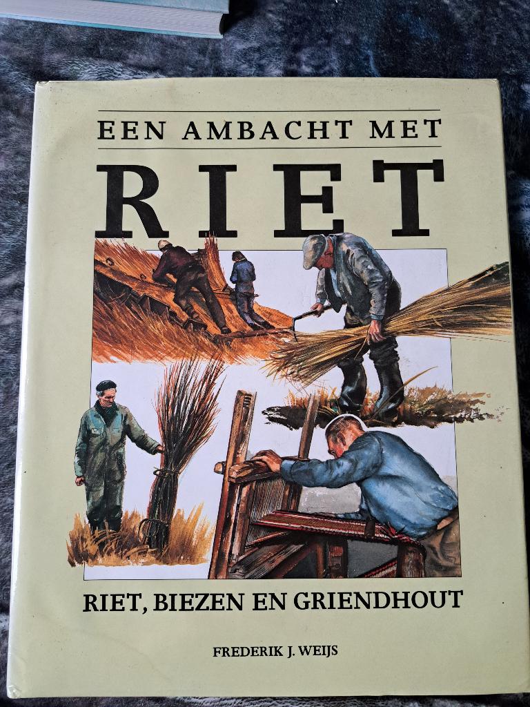 Een ambacht met riet, 20e eeuw of later, Ophalen of Verzenden, Zo goed als nieuw, Frederik Weijs
