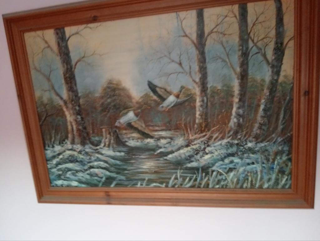 Mooi schilderij, Ophalen of Verzenden