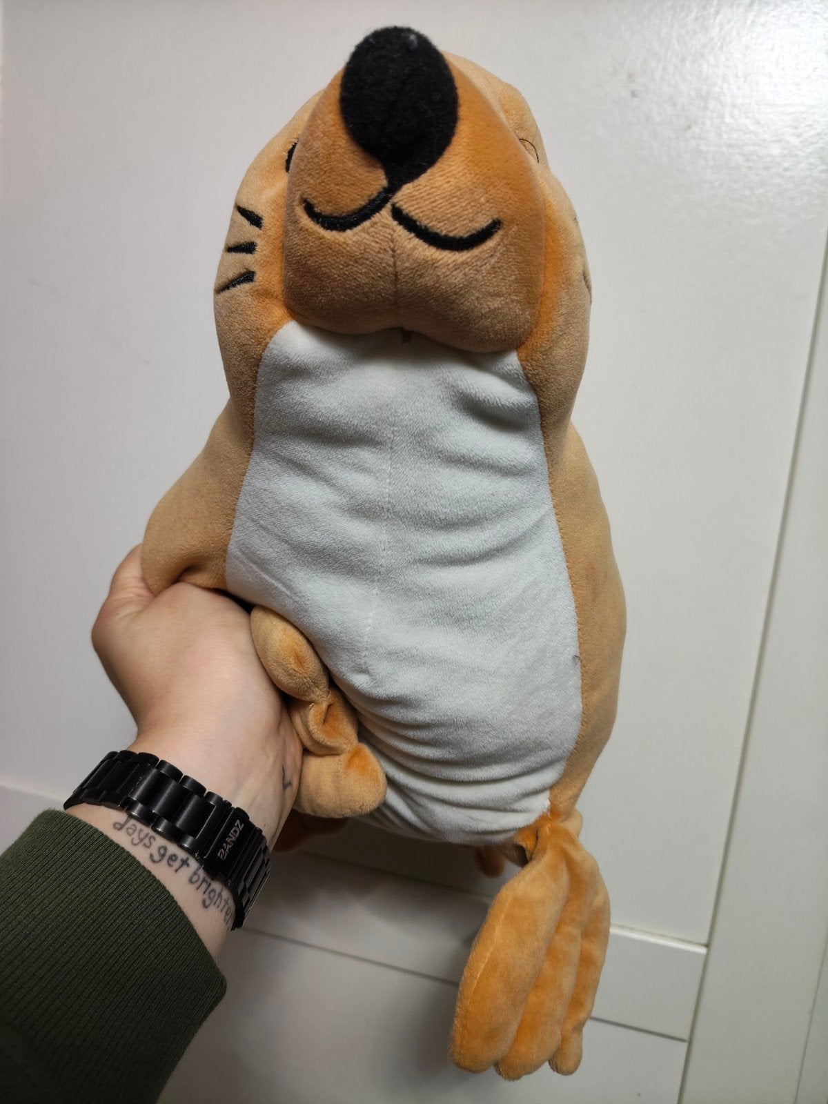 Schattige zeehond knuffel - Zo goed als nieuw, Overige merken, Overige typen, Middelgroot (20 tot 80 cm), Bruin
