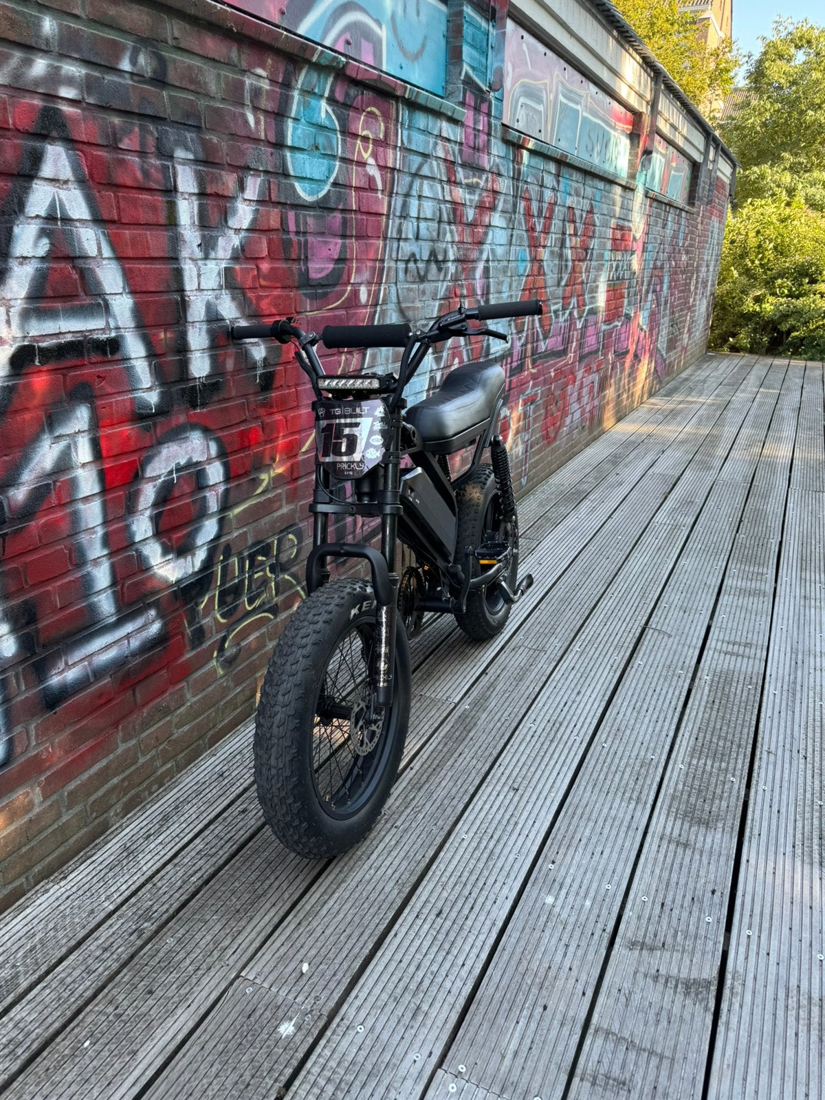 Custom s20 fatbike, Fietsen en Brommers, Elektrische fietsen, 59 cm of meer, Ophalen, Zo goed als nieuw, Overige merken