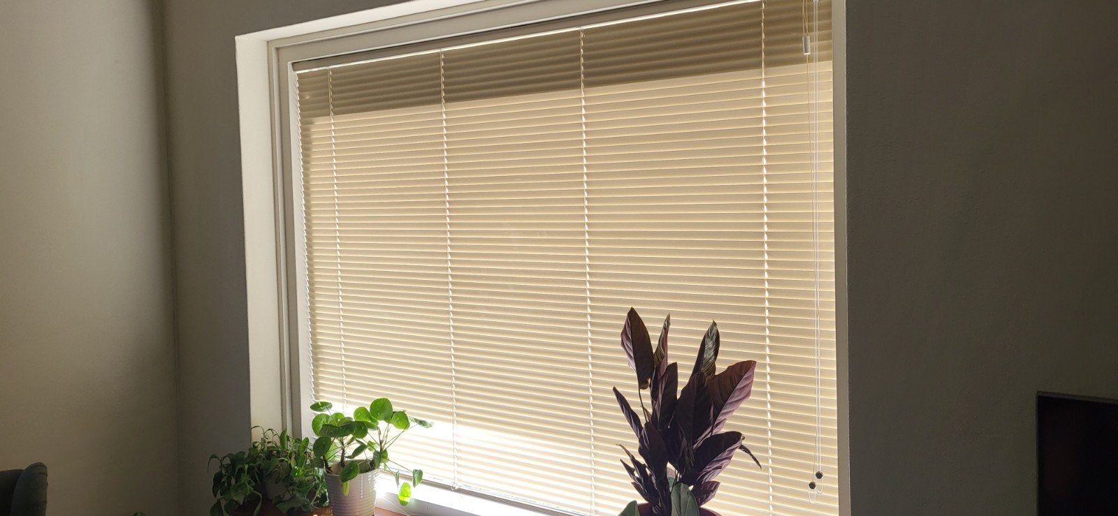 3x luxaflex 1.65x1.25 beige, Ophalen, 125 cm, Metaal, 165 cm