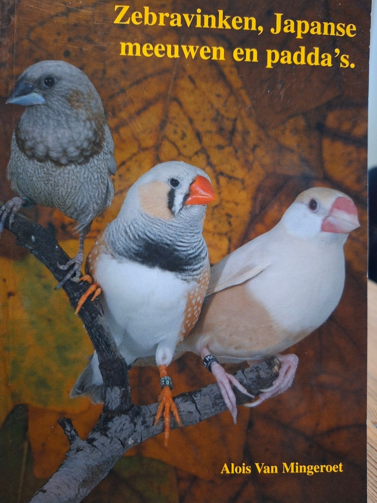 Vogelboek  Zebravinken, Japanse meeuwen en padda's, Dieren en Toebehoren, Meerdere dieren