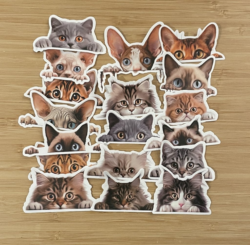 Katten realische thema stickers, Verzenden, Nieuw, Meerdere stickers