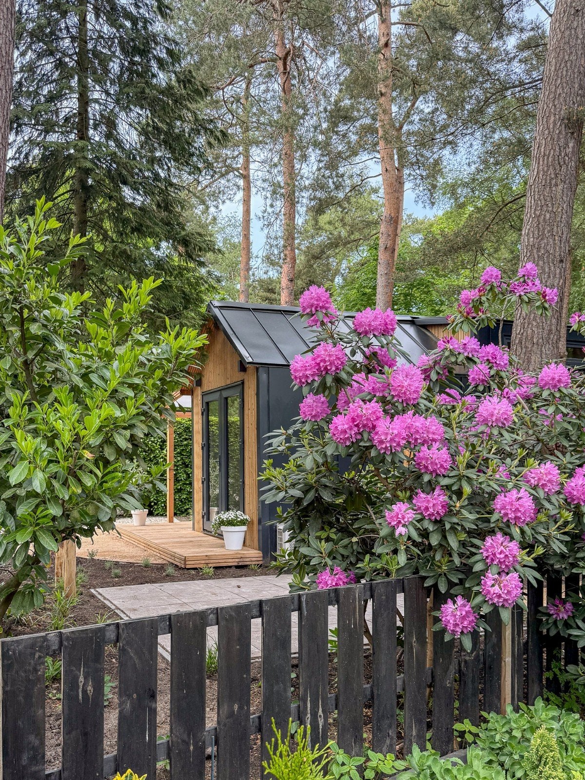 TINYHOUSE Te Koop Op Bospark Dennenrhode Veluwe In Het Bos, Huizen en Kamers, Recreatiewoningen te koop, Gelderland, 2 slaapkamers