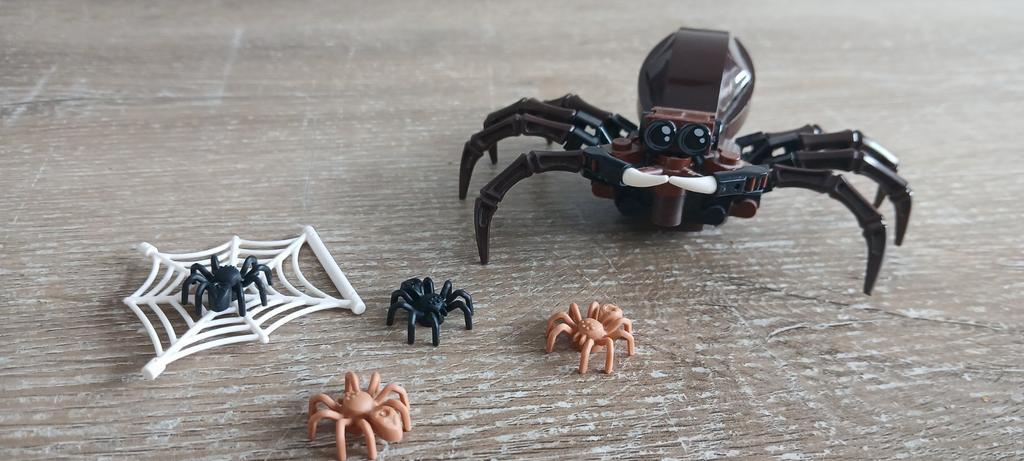 Lego 75950 Harry potter aragog's schuilplaats spin spider, Kinderen en Baby's, Speelgoed | Duplo en Lego, Ophalen of Verzenden