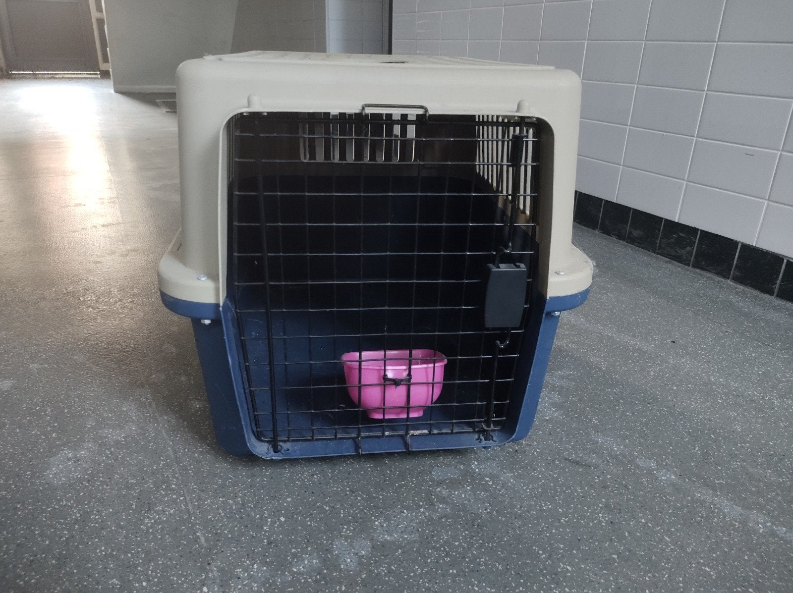 Katten Transportbox, Ophalen