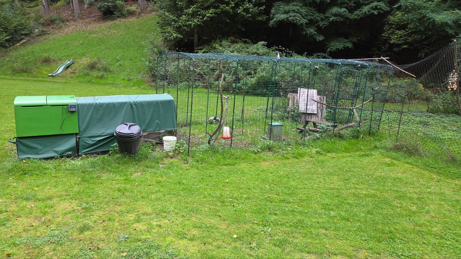 Omlet Eglu Cube + Inloopren + Automatische deur + meer, Dieren en Toebehoren, Ophalen, Kippenhok of Kippenren