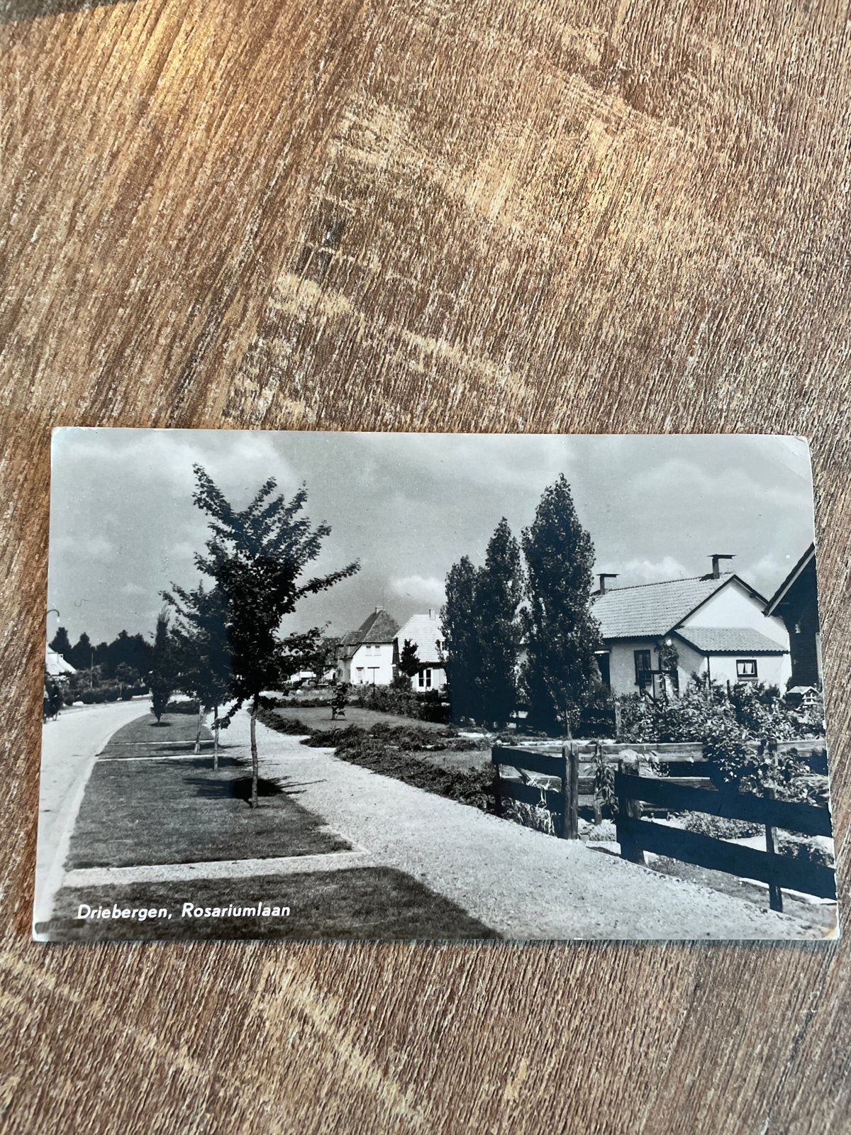 Oude ansichtkaart Driebergen, Rosariumlaan (Gelopen), Ophalen of Verzenden, 1940 tot 1960, Gelopen, Utrecht