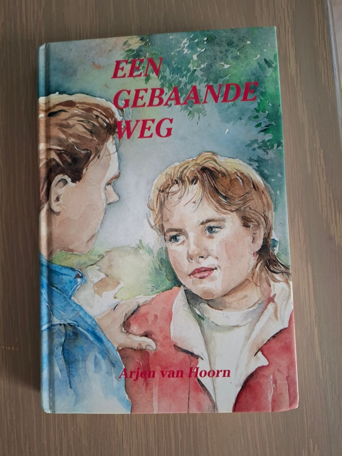 Arjen van Hoorn - Een Gebaande Weg & Een Toegestoken Hand, Boeken, Ophalen of Verzenden, Gelezen, Arjen van Hoorn, Nederland