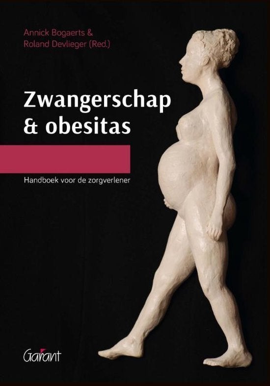 Zwangerschap en obesitas, Ophalen of Verzenden, Beta, Zo goed als nieuw, WO