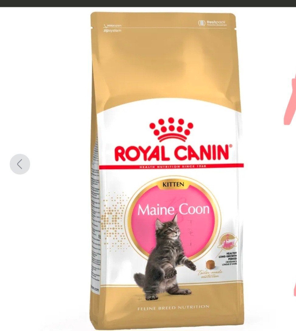 Royal canin  Kitten  Datum verlopen, Ophalen of Verzenden, Kat