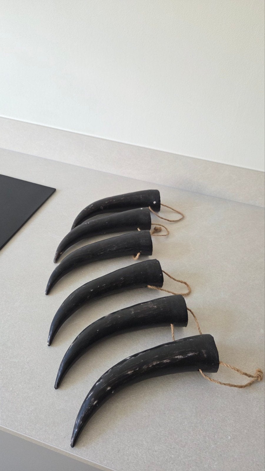 6 Decoratieve Hoorns #stoer #sober, Ophalen, Zo goed als nieuw