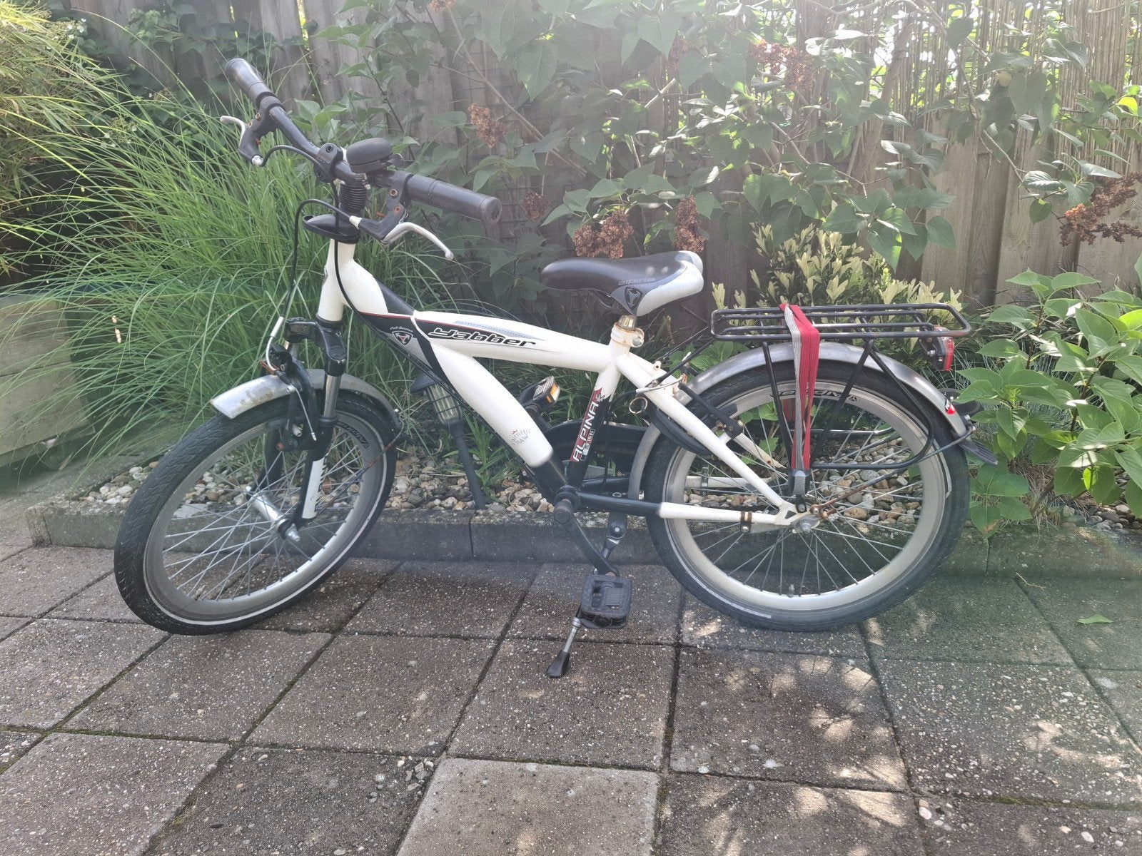 Alpina fiets 20 inch, Ophalen, Gebruikt, 20 inch of meer