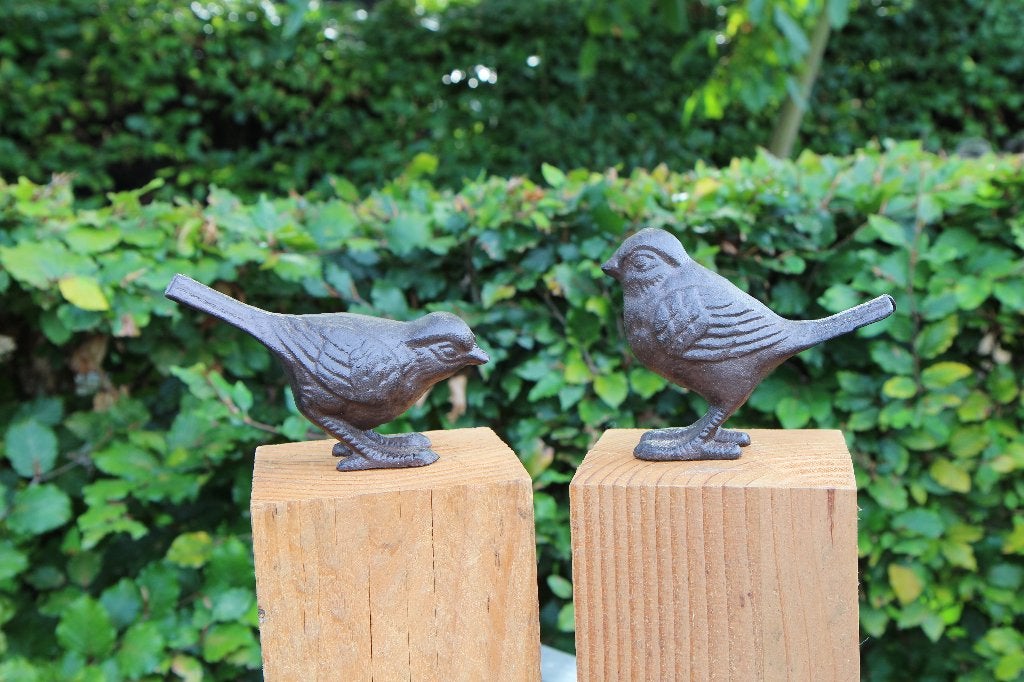 Set van 2 gietijzeren vogeltjes donkerbruin VGS148, Ophalen of Verzenden, Nieuw, Dier