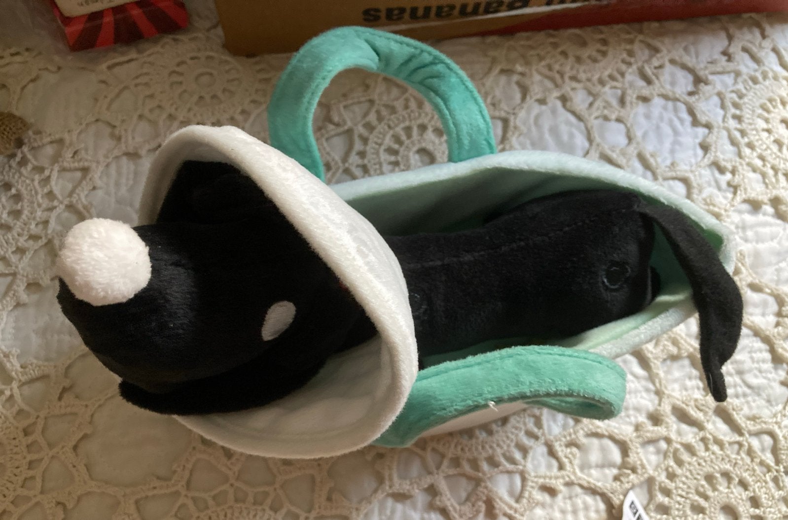 Takkie naar de dierenarts ( met mandje), Gebruikt, Overige typen, Zwart, Ophalen of Verzenden
