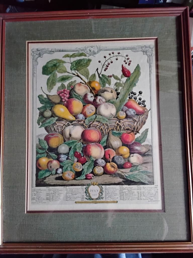 Vintage Kunstprint "July from Twelve Months of Fruit" 1732, Antiek en Kunst, Ophalen