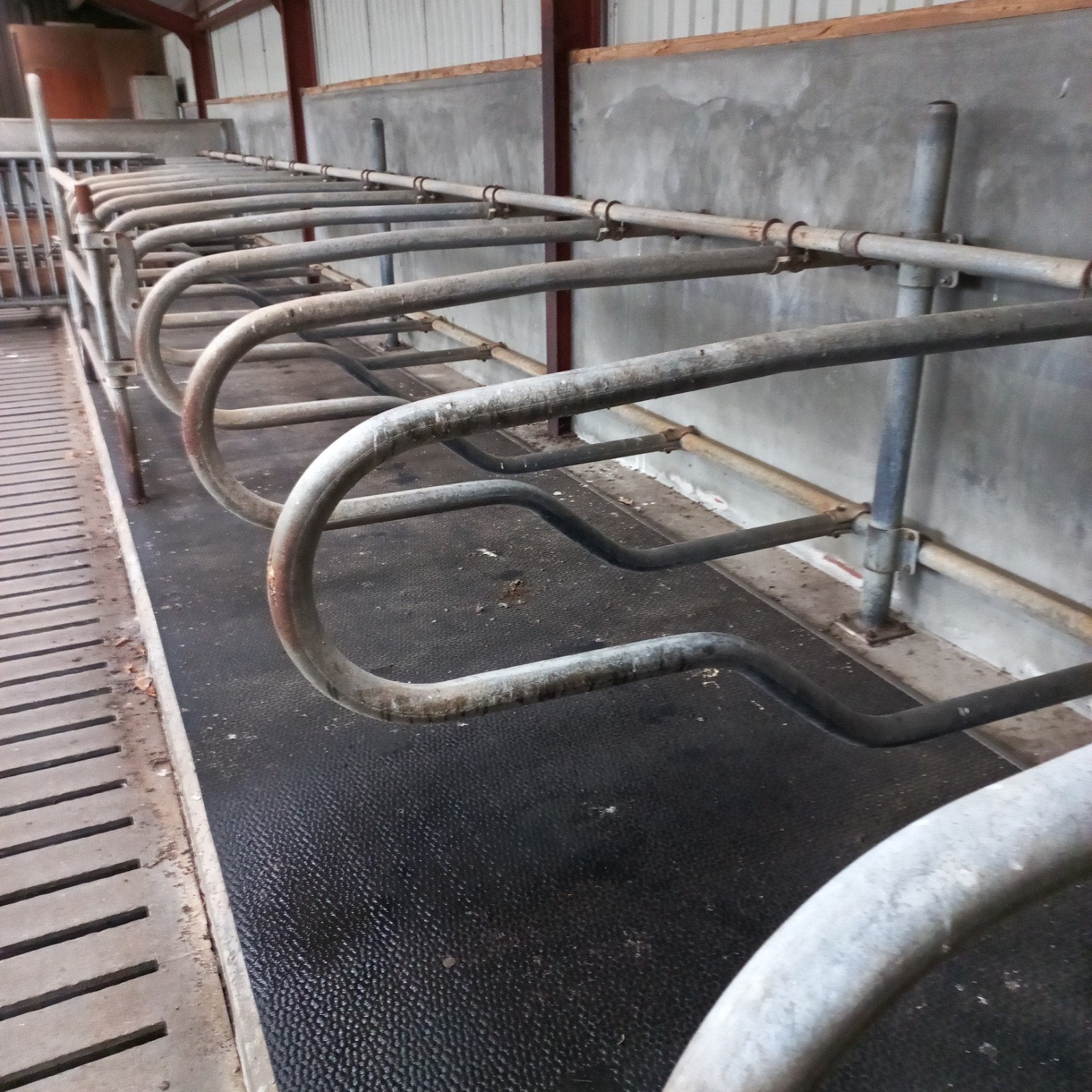 Jongveestalinrichting, Dieren en Toebehoren