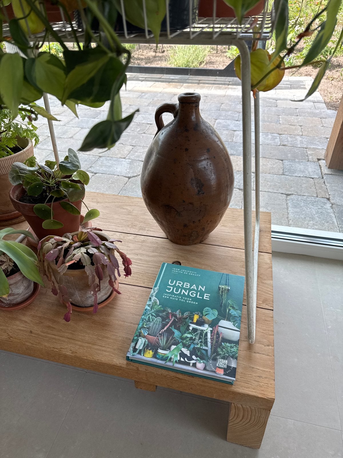 Urban Jungle: Inspiratie voor een huis vol groen, Boeken, Wonen en Tuinieren, Ophalen of Verzenden, Zo goed als nieuw, Kamerplanten