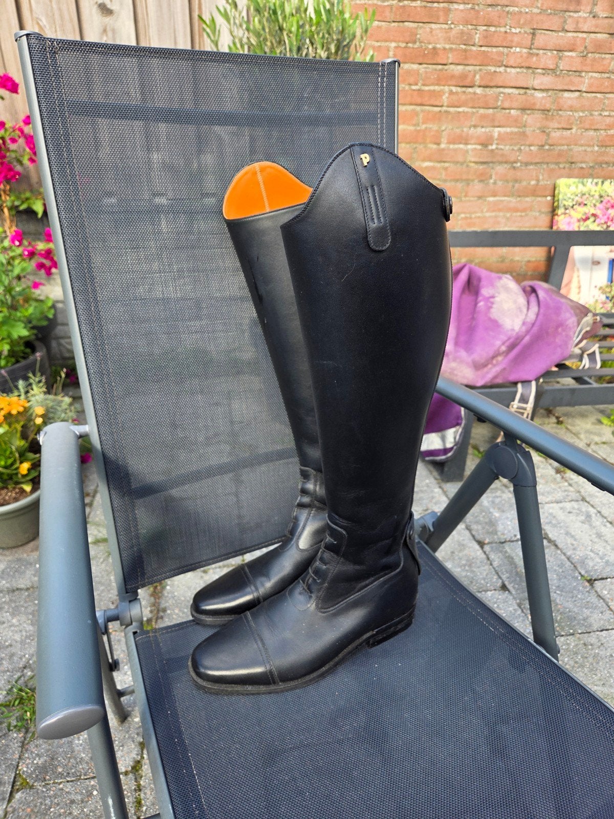 nieuwe Petrie leren rijlaarzen maat 41 ( 7,5 ), Ritssluiting, Dressuur, Nieuw, Ophalen of Verzenden