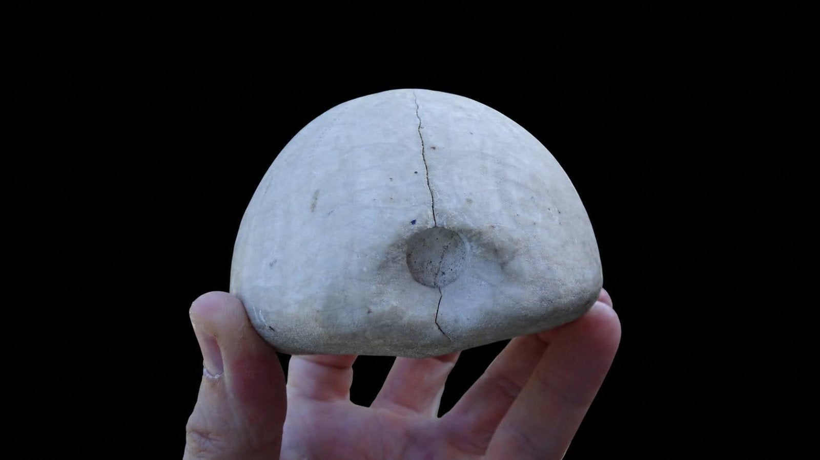 Versteende Zee-egel, Ophalen of Verzenden, Fossiel
