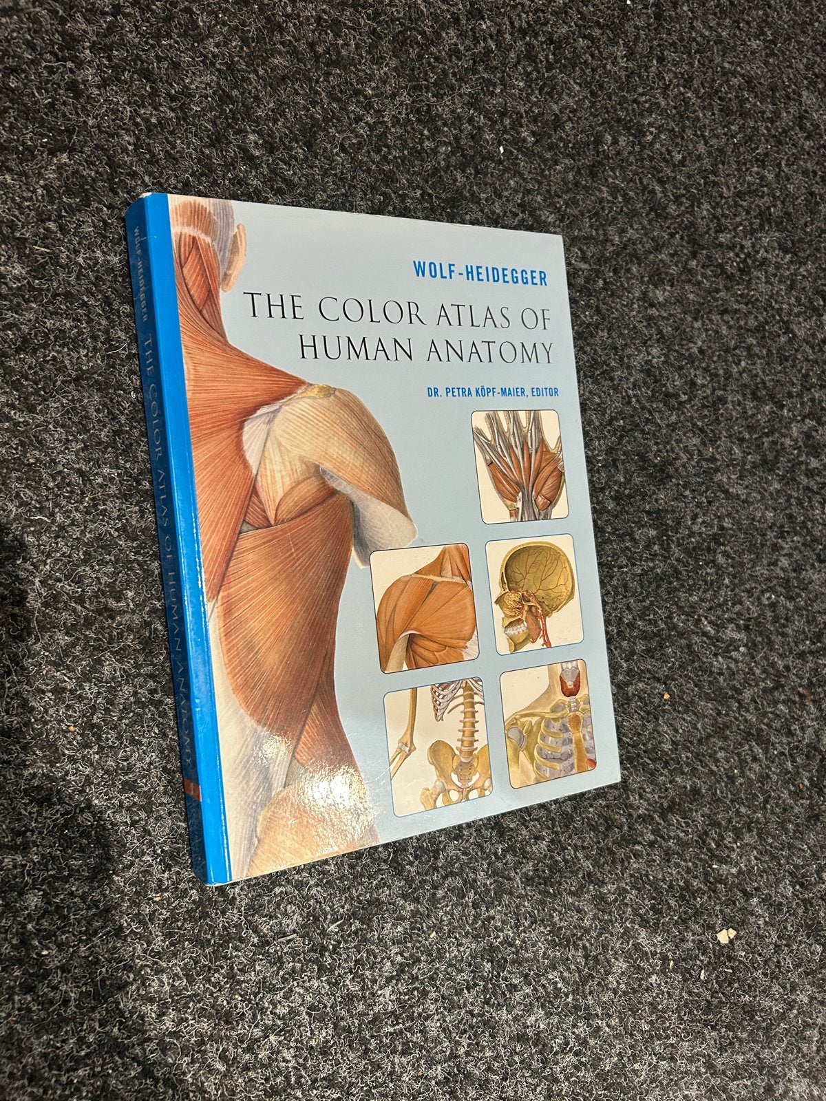 The Color Atlas of Human Anatomy - Wolf-Heidegger, Ophalen of Verzenden, Zo goed als nieuw, Natuurwetenschap