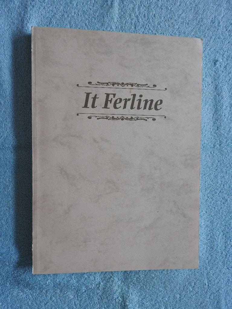 It Ferline - Levensverhaal Jan Fokkens - Politionele Actie, Ophalen of Verzenden, Tweede Wereldoorlog, Zo goed als nieuw, Overige onderwerpen