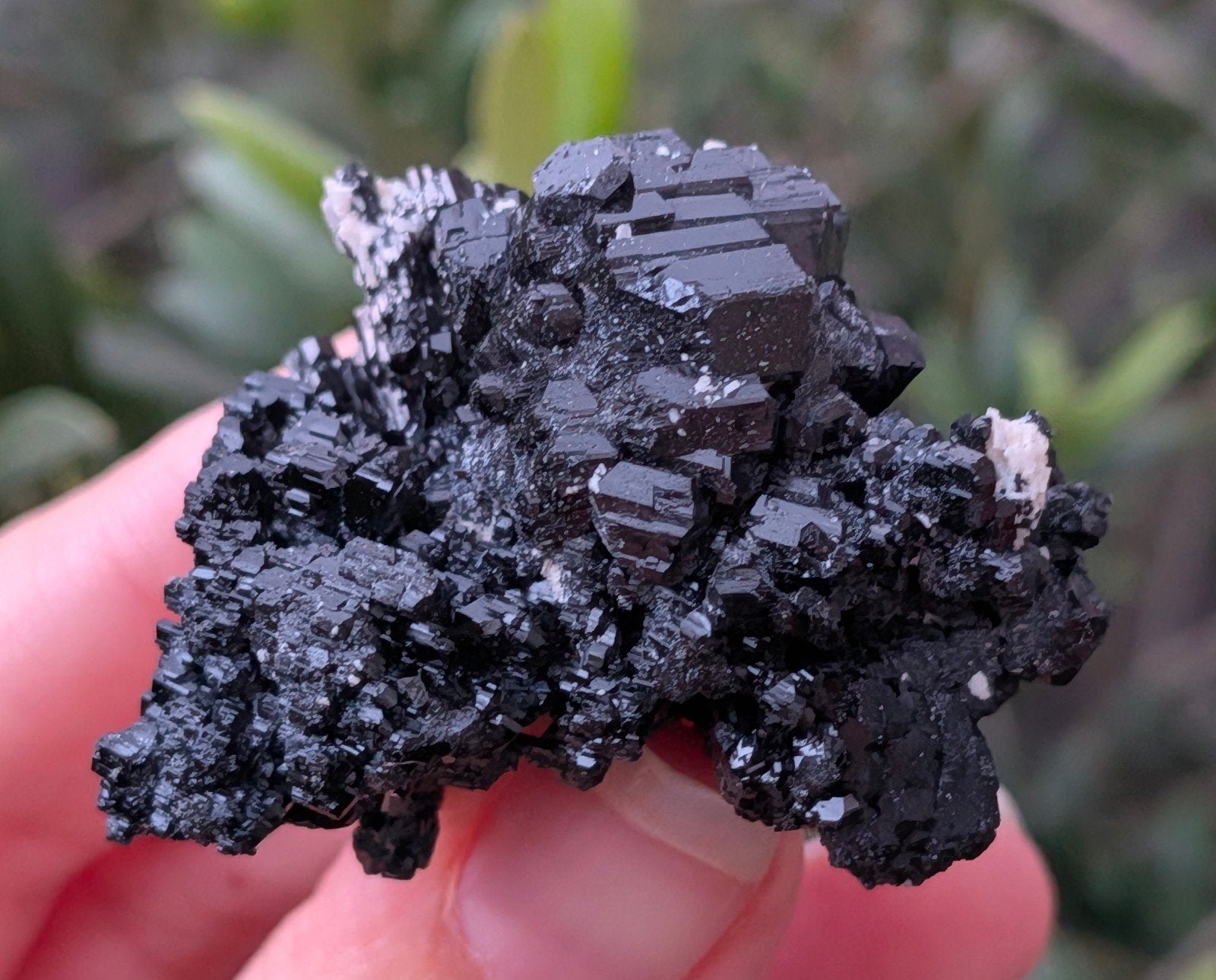 Toermalijn uit Namibië, Ophalen of Verzenden, Mineraal
