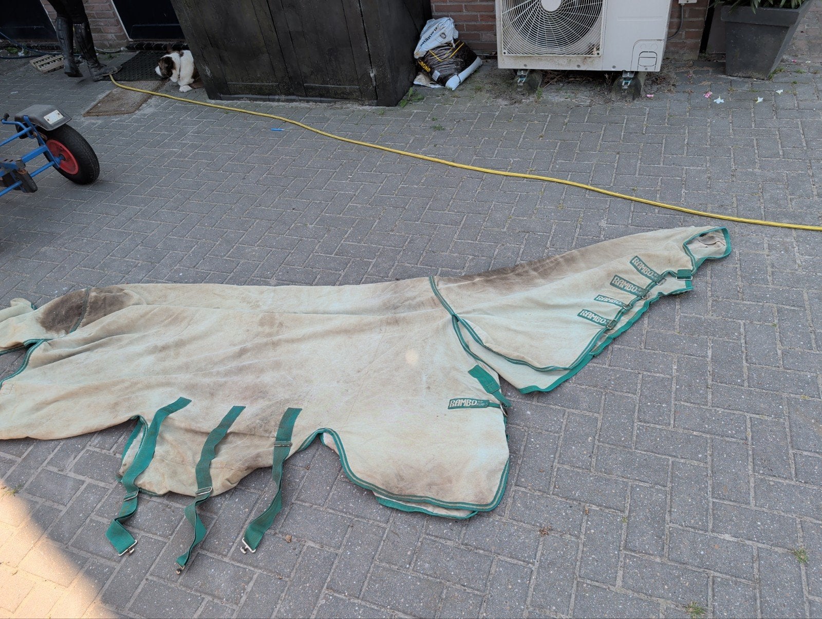 Rambo exceemdeken, Dieren en Toebehoren, Ophalen of Verzenden