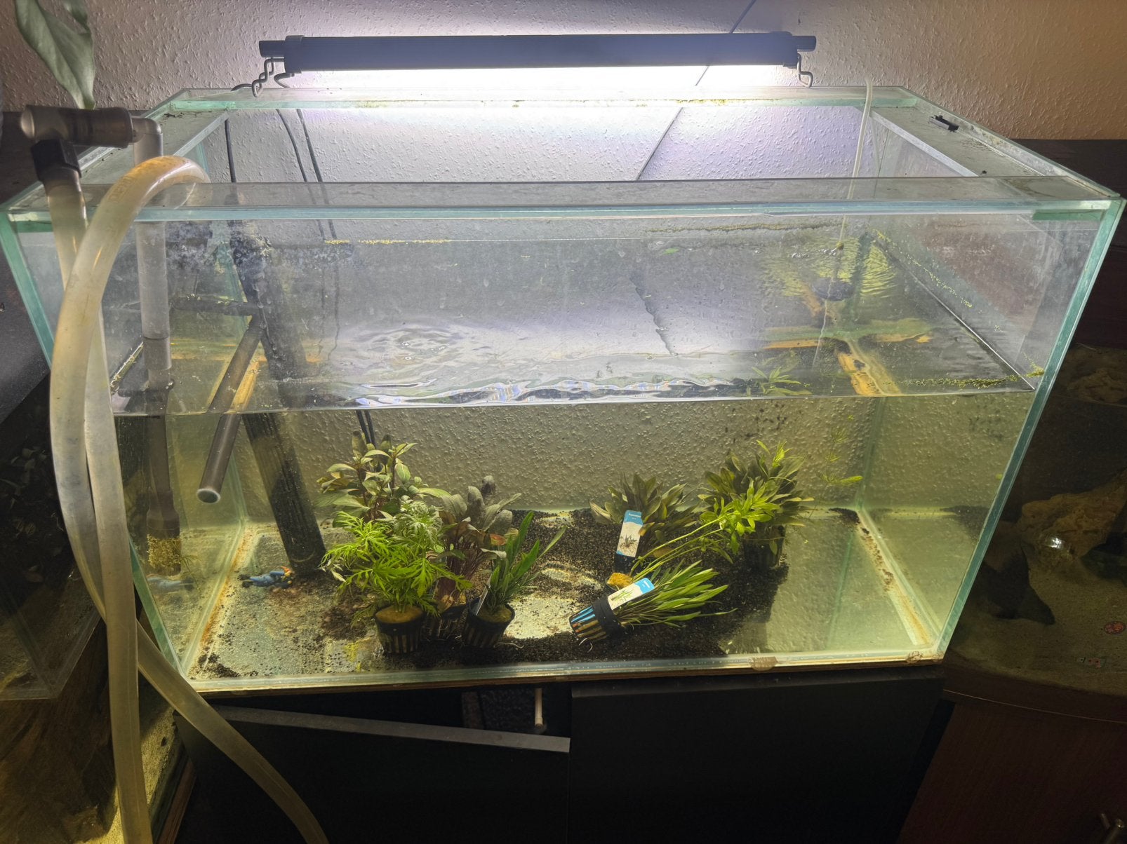 Aquarium 80x40x50, Ophalen, Zo goed als nieuw, Leeg aquarium